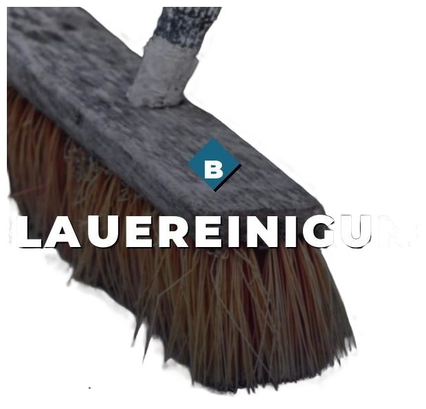 BlaueReinigung logo